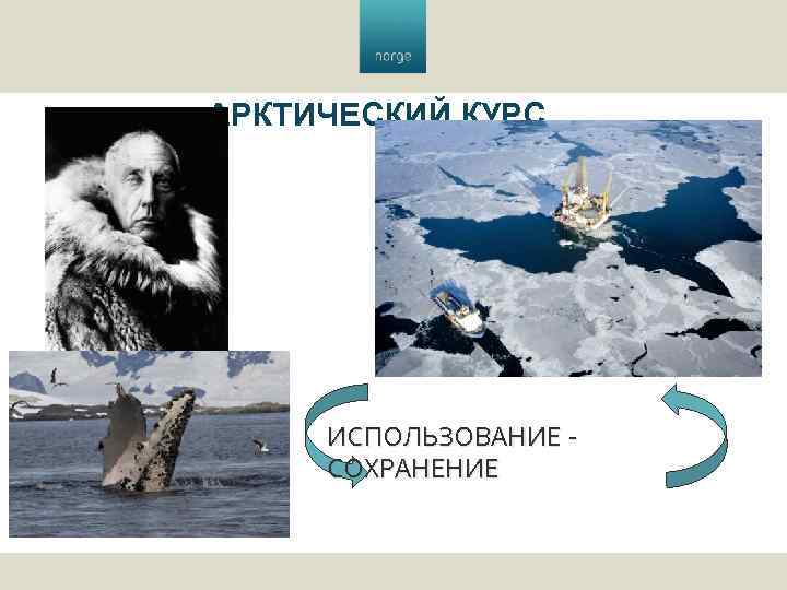 АРКТИЧЕСКИЙ КУРС ИСПОЛЬЗОВАНИЕ СОХРАНЕНИЕ 