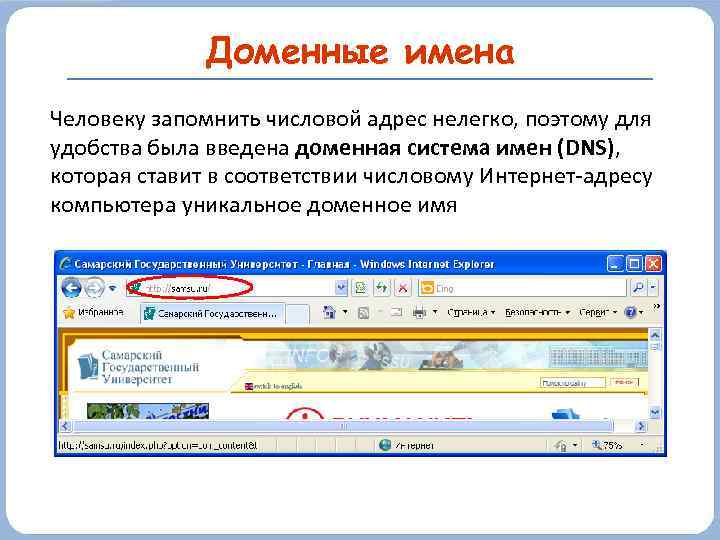 Доменные имена Человеку запомнить числовой адрес нелегко, поэтому для удобства была введена доменная система