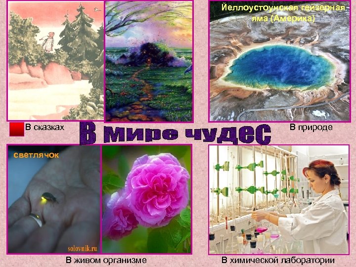 Йеллоустоунская гейзерная яма (Америка) В сказках В природе светлячок В живом организме В химической