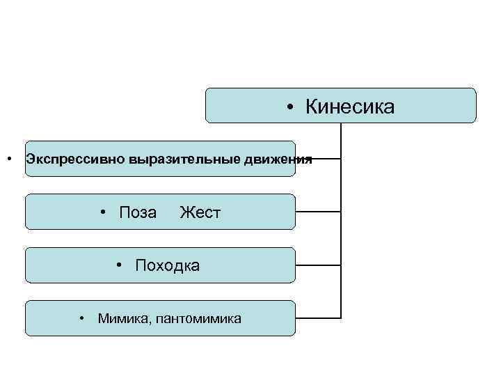  • Кинесика • Экспрессивно выразительные движения • Поза Жест • Походка • Мимика,