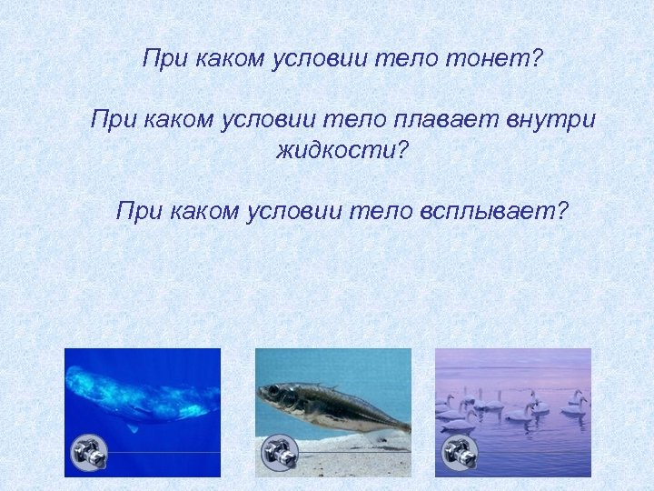 При каком условии тело тонет? При каком условии тело плавает внутри жидкости? При каком