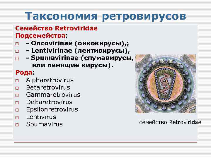 Таксономия ретровирусов Семейство Retroviridae Подсемейства: o - Oncovirinae (онковирусы), ; o - Lentivirinae (лентивирусы),