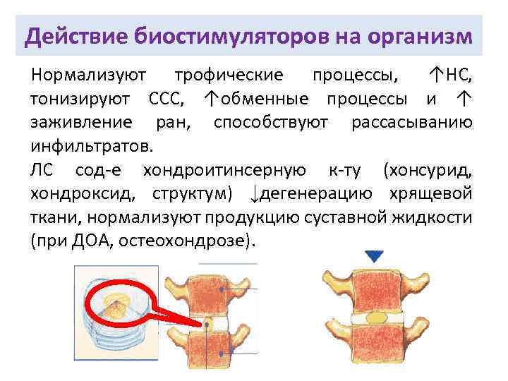 Действие биостимуляторов на организм Нормализуют трофические процессы, ↑НС, тонизируют ССС, ↑обменные процессы и ↑