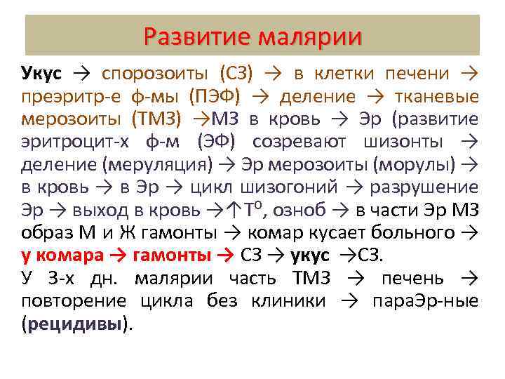 Развитие малярии Укус → спорозоиты (СЗ) → в клетки печени → преэритр-е ф-мы (ПЭФ)