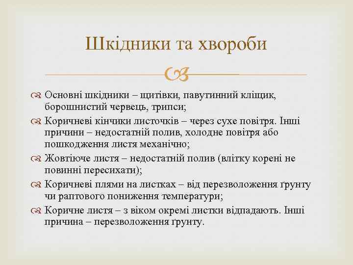 Шкідники та хвороби Основні шкідники – щитівки, павутинний кліщик, борошнистий червець, трипси; Коричневі кінчики