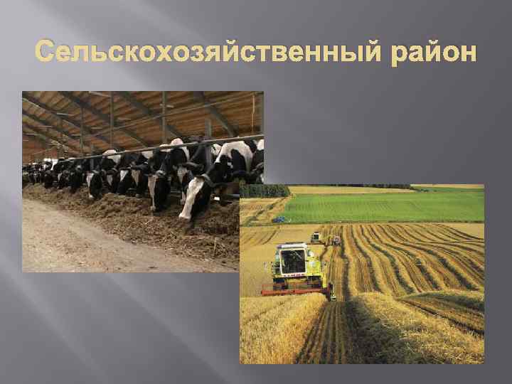 Сельскохозяйственный район 