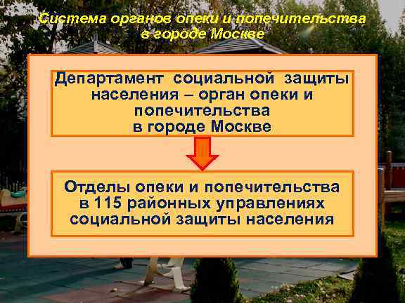 Система органов опеки и попечительства в городе Москве Департамент социальной защиты населения – орган