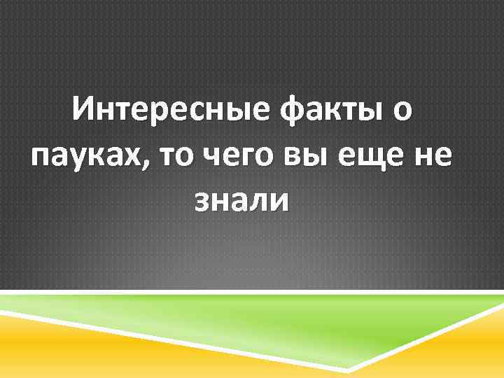 Интересные факты о пауках, то чего вы еще не знали 