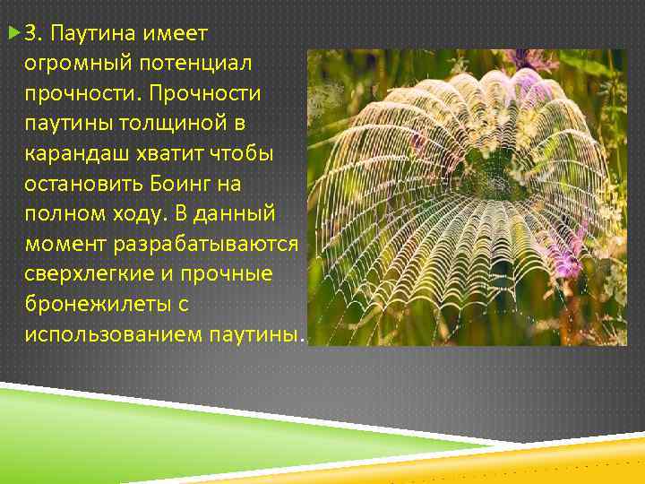  3. Паутина имеет огромный потенциал прочности. Прочности паутины толщиной в карандаш хватит чтобы