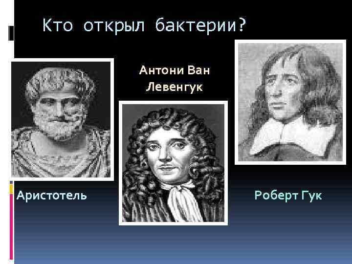 Кто открыл бактерии? Антони Ван Левенгук Аристотель Роберт Гук 