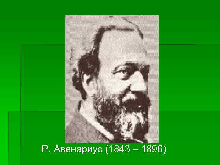 Р. Авенариус (1843 – 1896) 