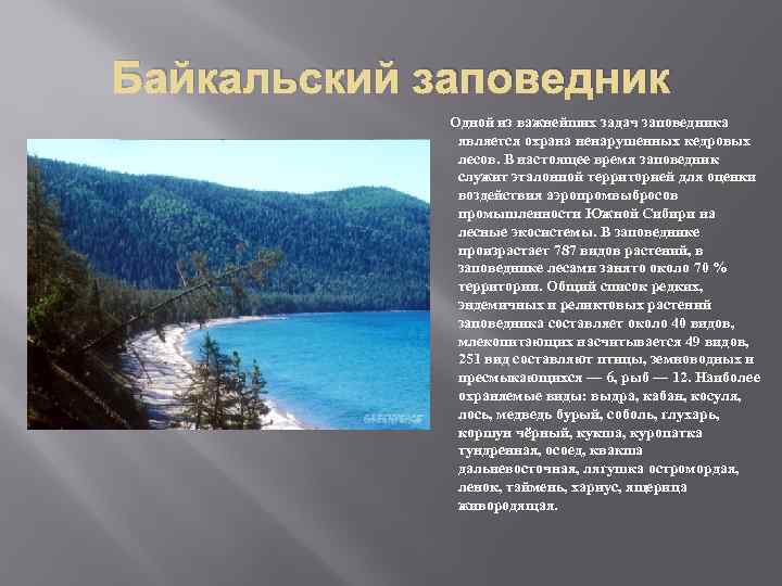 Где находится байкальский заповедник в россии