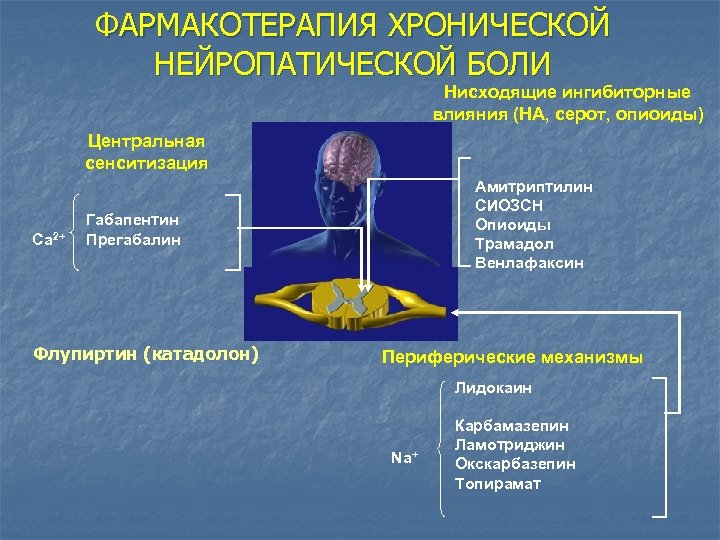 Нейропатическая боль лечение. Фармакотерапия нейропатической боли. Шкала оценки нейропатической боли. Механизмы формирования нейропатической боли. Фармакотерапия хронической боли.