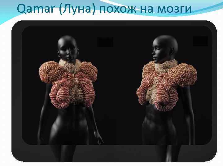 Qamar (Луна) похож на мозги или легкие и заполнен кислородом, который производят водоросли. 