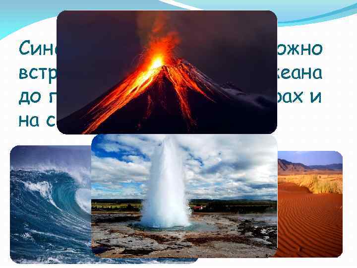 Синезеленые водоросли можно встретить где угодно: от океана до пустынь и даже в гейзерах