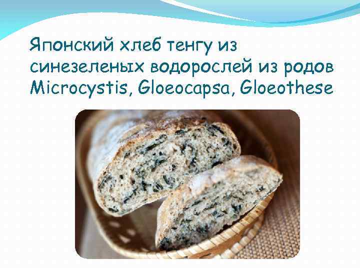 Японский хлеб тенгу из синезеленых водорослей из родов Microcystis, Gloeocapsa, Gloeothese 