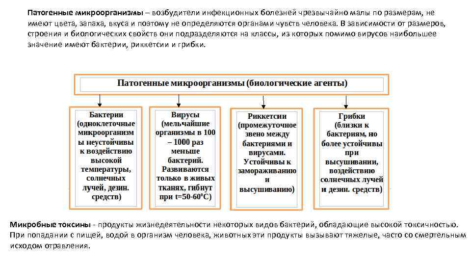 Основные группы патогенных микроорганизмов схема