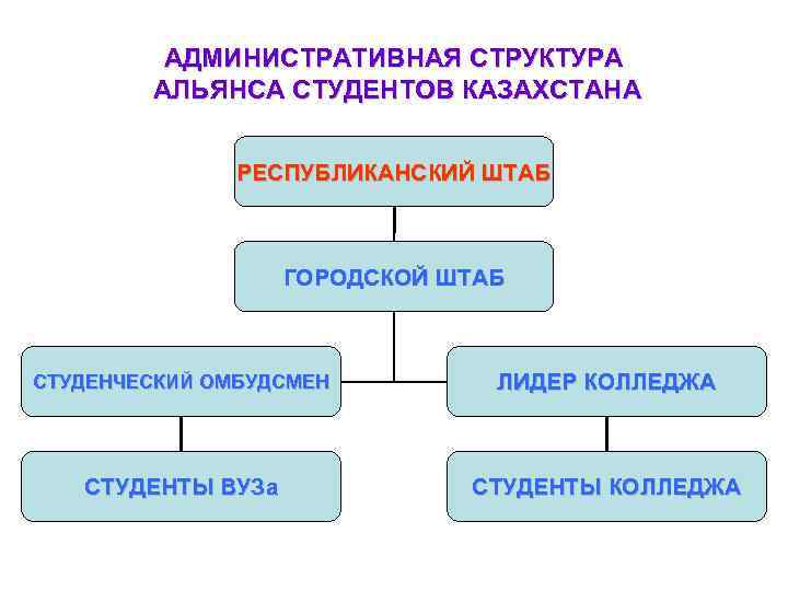 Административная структура