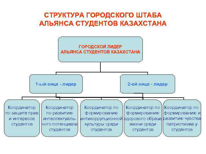 СТРУКТУРА ГОРОДСКОГО ШТАБА АЛЬЯНСА СТУДЕНТОВ КАЗАХСТАНА ГОРОДСКОЙ ЛИДЕР АЛЬЯНСА СТУДЕНТОВ КАЗАХСТАНА 1 -ый вице