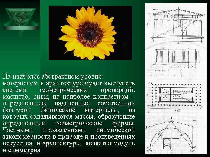 На наиболее абстрактном уровне материалом в архитектуре будет выступать система геометрических пропорций, масштаб, ритм,