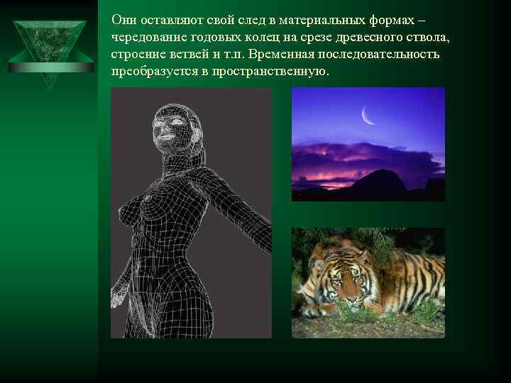 Они оставляют свой след в материальных формах – чередование годовых колец на срезе древесного