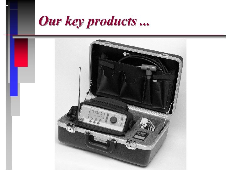  Our key products. . . 