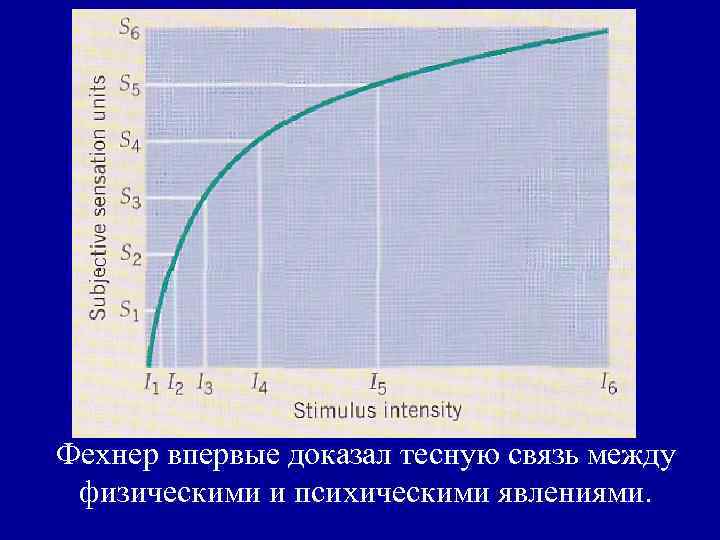 Фехнер впервые доказал тесную связь между физическими и психическими явлениями. 