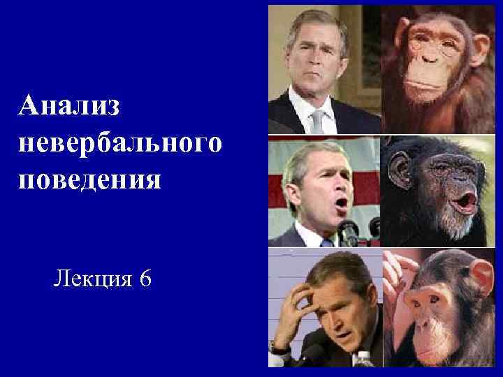 Анализ невербального поведения Лекция 6 