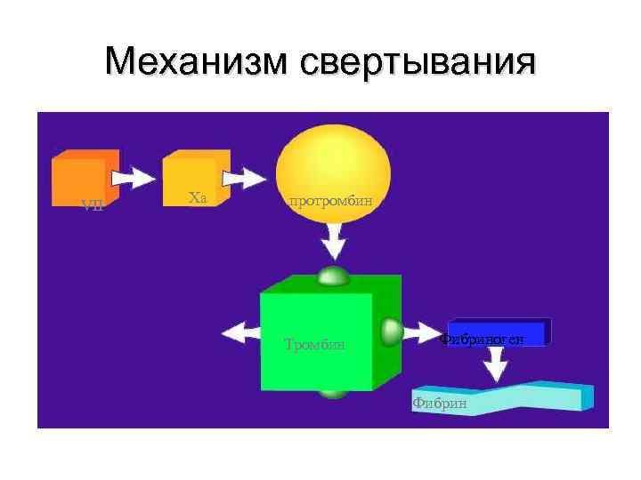 Механизм свертывания VII Xa протромбин Тромбин Фибриноген Фибрин 