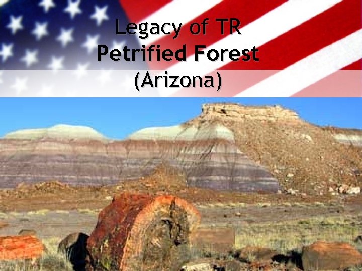 Legacy of TR Petrified Forest (Arizona) 