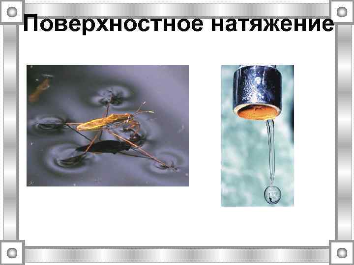 Поверхностное натяжение 