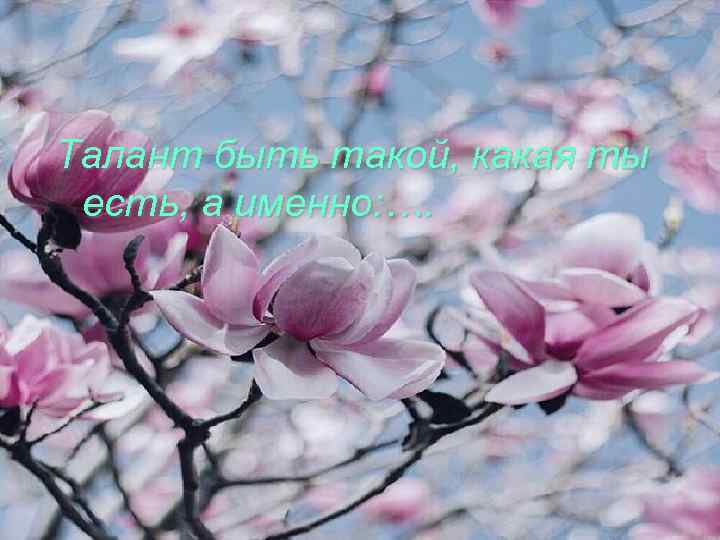 Талант быть такой, какая ты есть, а именно: …. 