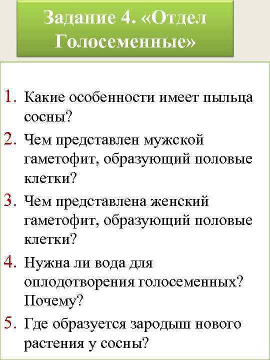 Задание 4. «Отдел Голосеменные» 1. Какие особенности имеет пыльца 2. 3. 4. 5. сосны?