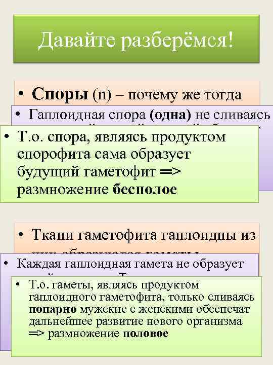 Давайте разберёмся! • Споры (n) – почему же тогда • Гаплоидная спора (одна) гаметы