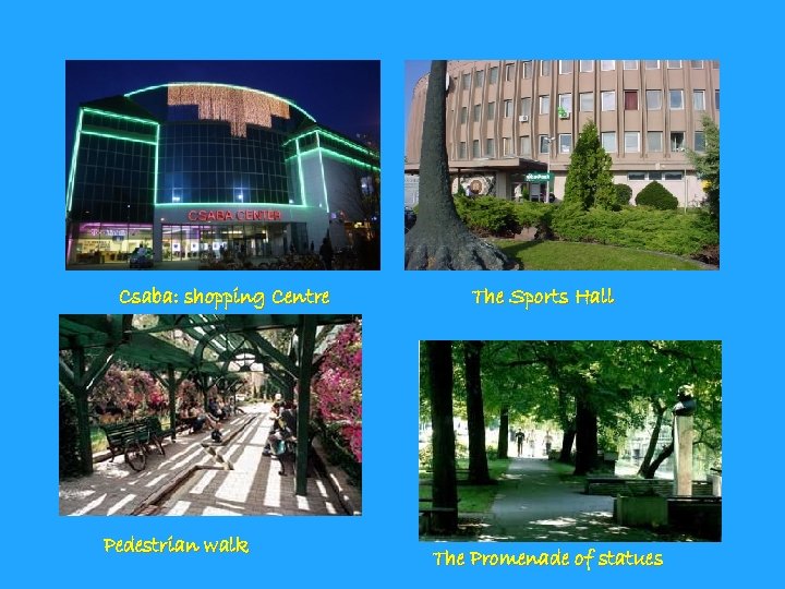 Csaba: shopping Centre Pedestrian walk The Sports Hall The Promenade of statues 
