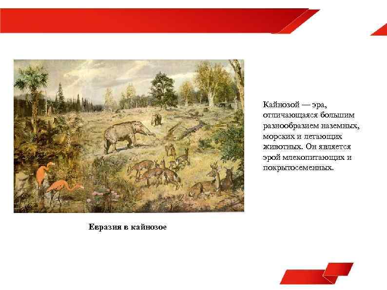Кайнозой — эра, отличающаяся большим разнообразием наземных, морских и летающих животных. Он является эрой
