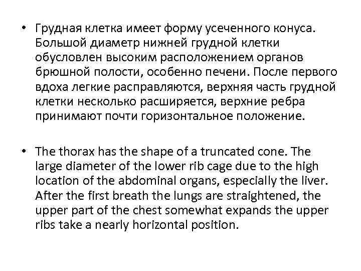  • Грудная клетка имеет форму усеченного конуса. Большой диаметр нижней грудной клетки обусловлен