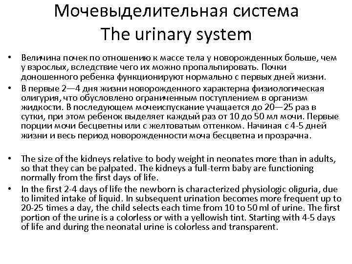 Мочевыделительная система The urinary system • Величина почек по отношению к массе тела у