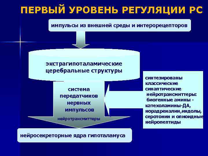 ПЕРВЫЙ УРОВЕНЬ РЕГУЛЯЦИИ РС импульсы из внешней среды и интерорецепторов экстрагипоталамические церебральные структуры система
