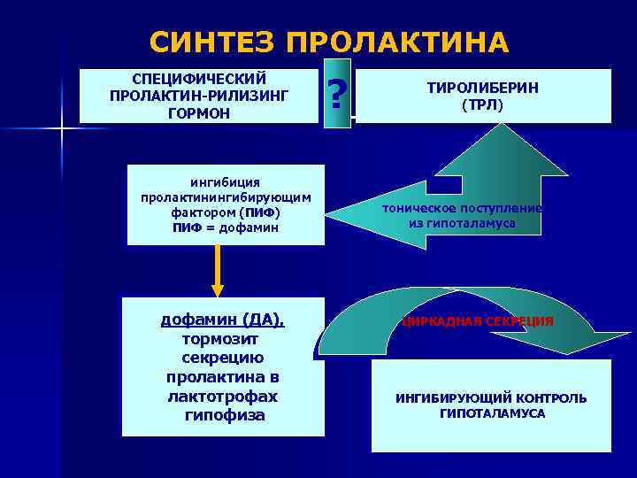 СИНТЕЗ ПРОЛАКТИНА СПЕЦИФИЧЕСКИЙ ПРОЛАКТИН-РИЛИЗИНГ ГОРМОН ингибиция пролактинингибирующим фактором (ПИФ) ПИФ = дофамин (ДА), тормозит