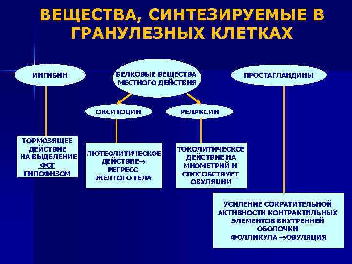 ВЕЩЕСТВА, СИНТЕЗИРУЕМЫЕ В ГРАНУЛЕЗНЫХ КЛЕТКАХ ИНГИБИН БЕЛКОВЫЕ ВЕЩЕСТВА МЕСТНОГО ДЕЙСТВИЯ ОКСИТОЦИН ТОРМОЗЯЩЕЕ ДЕЙСТВИЕ НА
