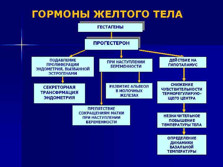 ГОРМОНЫ ЖЕЛТОГО ТЕЛА ДЕЙСТВИЕ НА ГИПОТАЛАМУС СНИЖЕНИЕ ЧУВСТВИТЕЛЬНОСТИ ТЕРМОРЕГУЛИРУЮЩЕГО ЦЕНТРА НЕЗНАЧИТЕЛЬНОЕ ПОВЫШЕНИЕ ТЕМПЕРАТУРЫ ТЕЛА