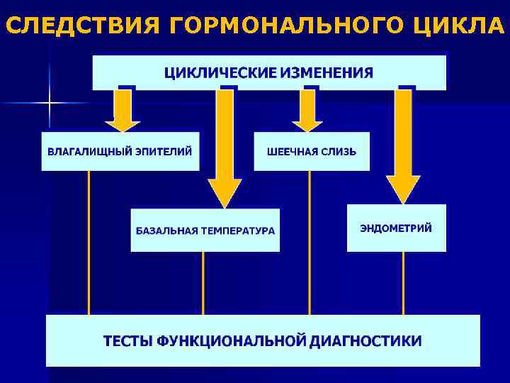 СЛЕДСТВИЯ ГОРМОНАЛЬНОГО ЦИКЛА 