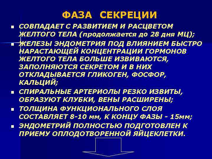 ФАЗА СЕКРЕЦИИ n n n СОВПАДАЕТ С РАЗВИТИЕМ И РАСЦВЕТОМ ЖЕЛТОГО ТЕЛА (продолжается до