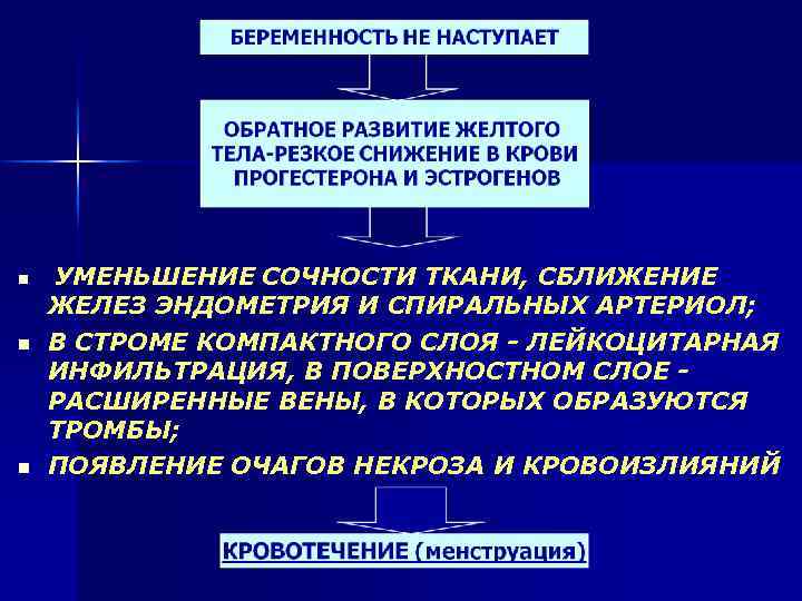 n n n УМЕНЬШЕНИЕ СОЧНОСТИ ТКАНИ, СБЛИЖЕНИЕ ЖЕЛЕЗ ЭНДОМЕТРИЯ И СПИРАЛЬНЫХ АРТЕРИОЛ; В СТРОМЕ