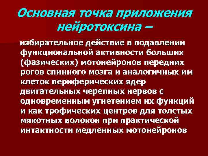 Основная точка приложения нейротоксина – избирательное действие в подавлении функциональной активности больших (фазических) мотонейронов