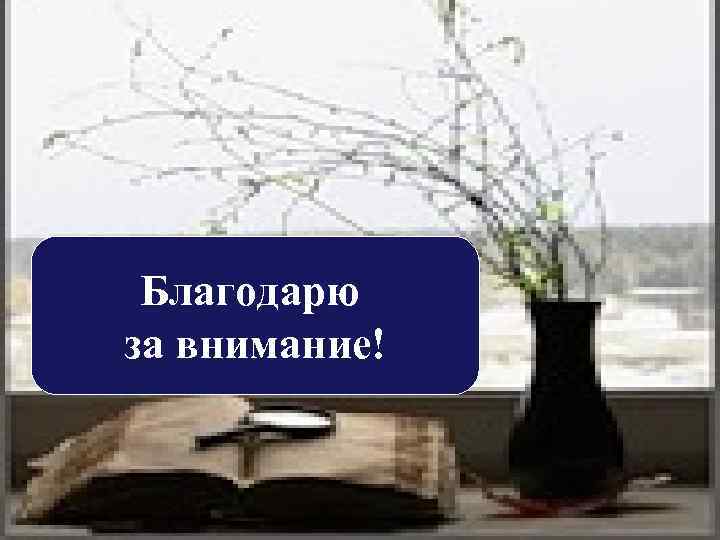 Благодарю за внимание! 