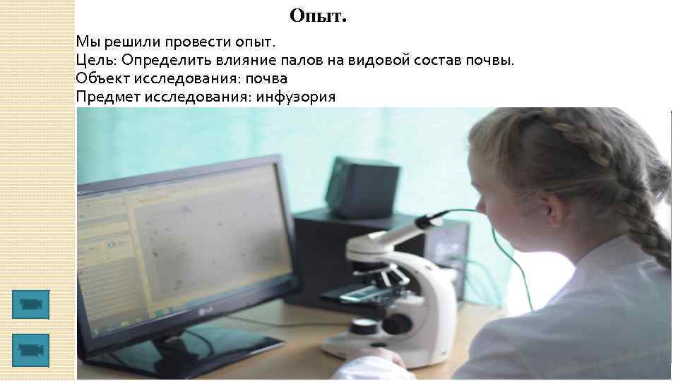 Опыт. Мы решили провести опыт. Цель: Определить влияние палов на видовой состав почвы. Объект