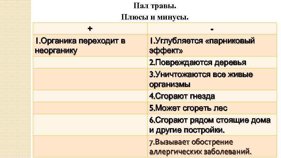 Пал травы. Плюсы и минусы. + 1. Органика переходит в неорганику 1. Углубляется «парниковый