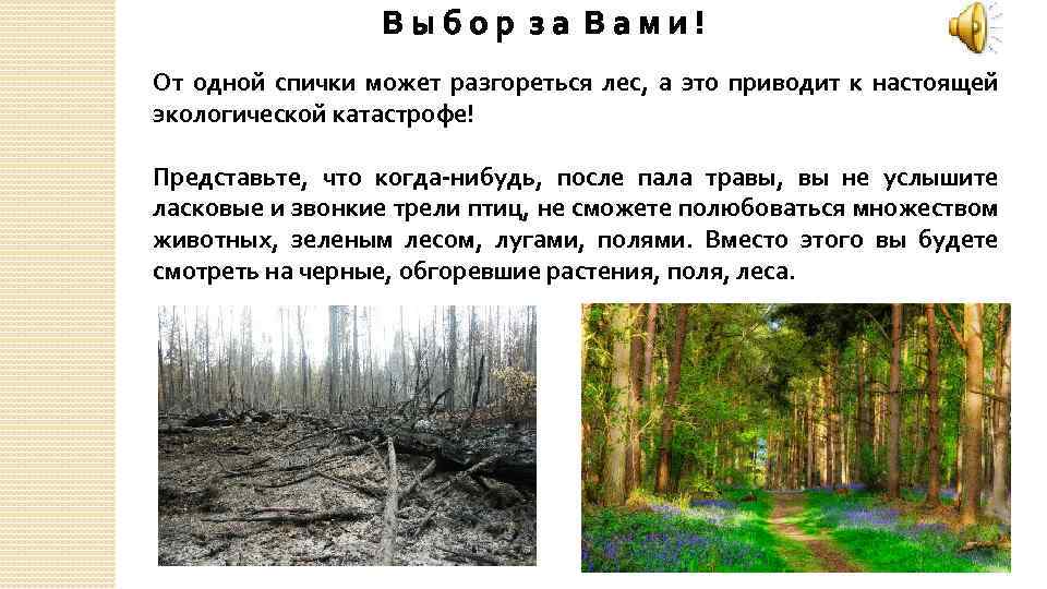 Выбор за Вами! От одной спички может разгореться лес, а это приводит к настоящей
